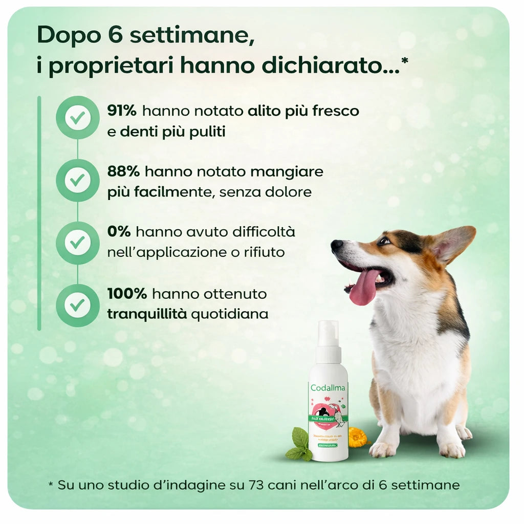 Codallma Spray™ Ferma i batteri che causano la carie prima che portino a interventi chirurgici rischiosi