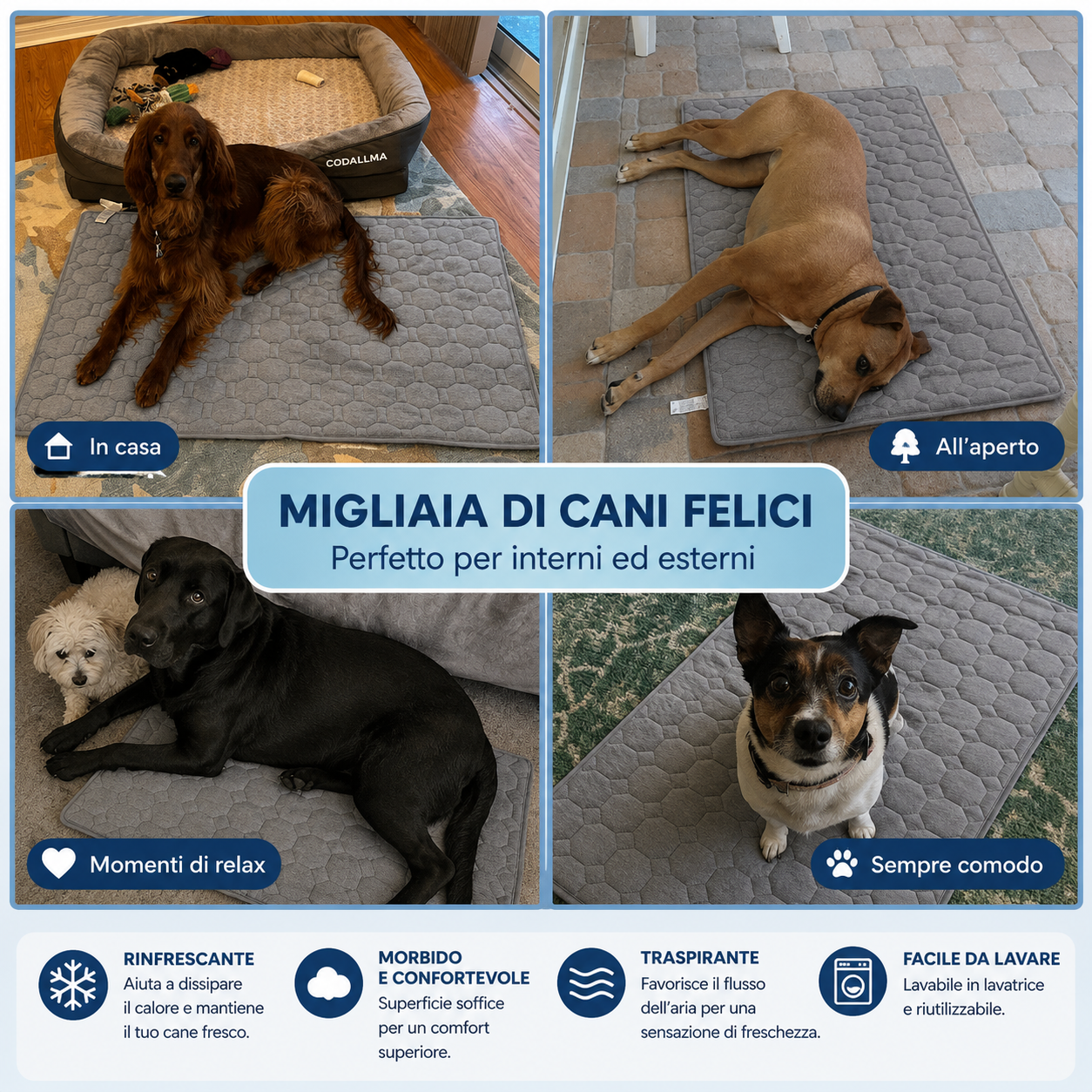 Codallma™ Chill – Il tappetino rinfrescante premium