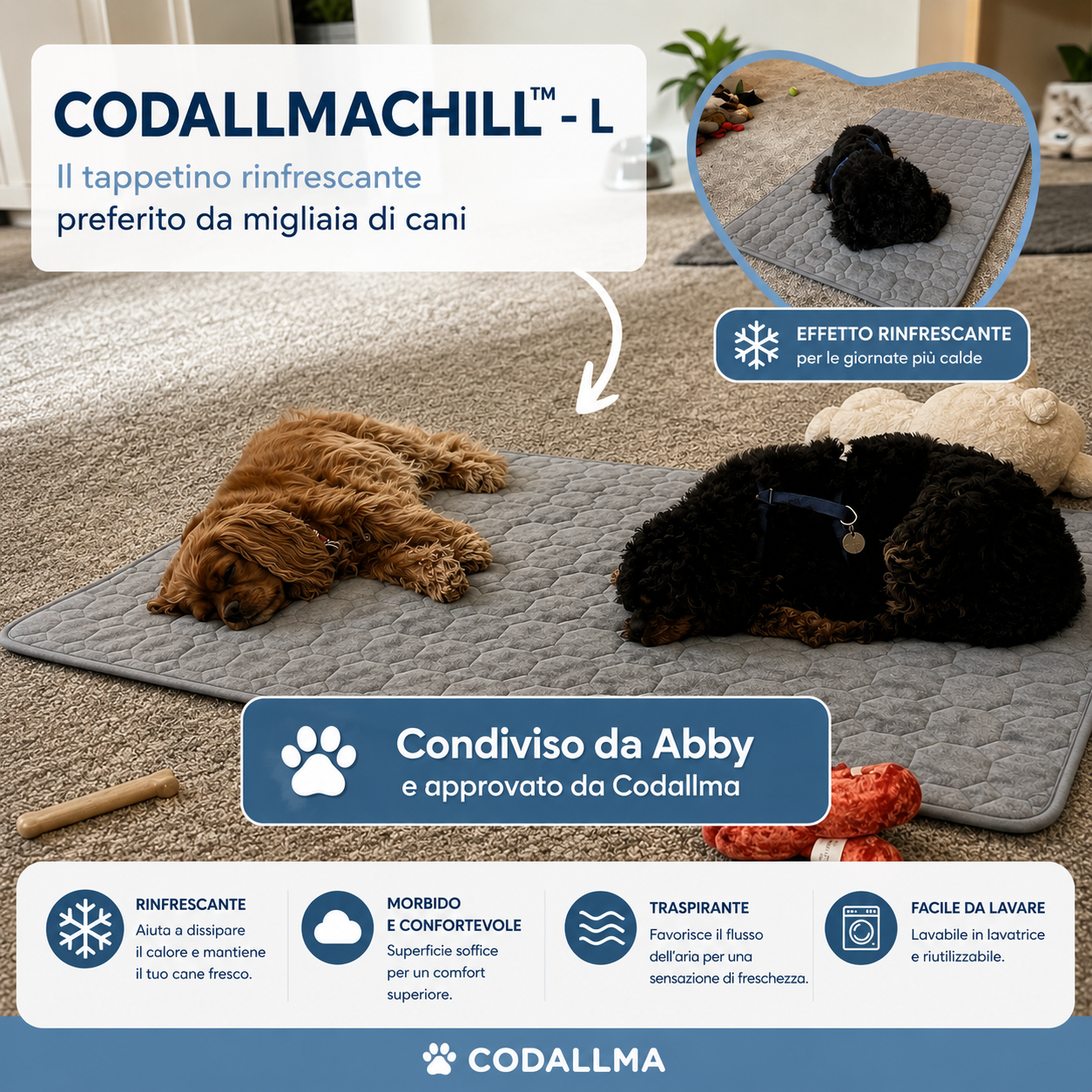 Codallma™ Chill – Il tappetino rinfrescante premium