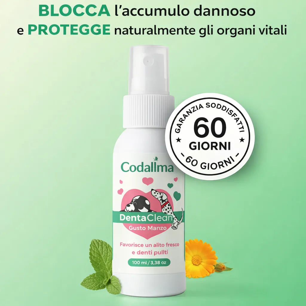 Codallma Spray™ Ferma i batteri che causano la carie prima che portino a interventi chirurgici rischiosi