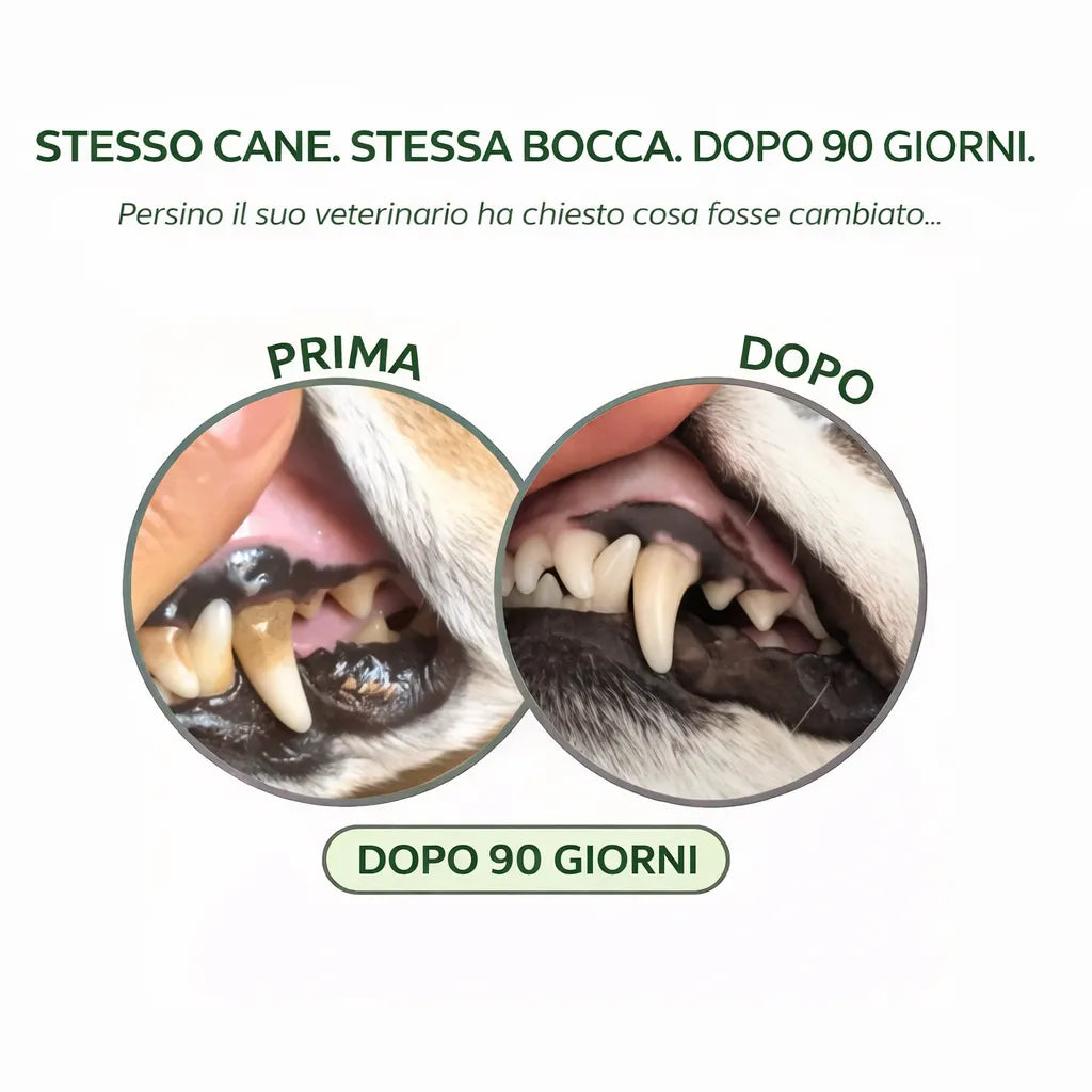 Codallma Spray™ Ferma i batteri che causano la carie prima che portino a interventi chirurgici rischiosi