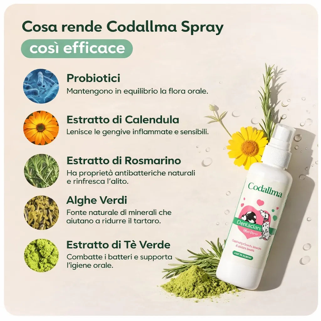 Codallma Spray™ Ferma i batteri che causano la carie prima che portino a interventi chirurgici rischiosi