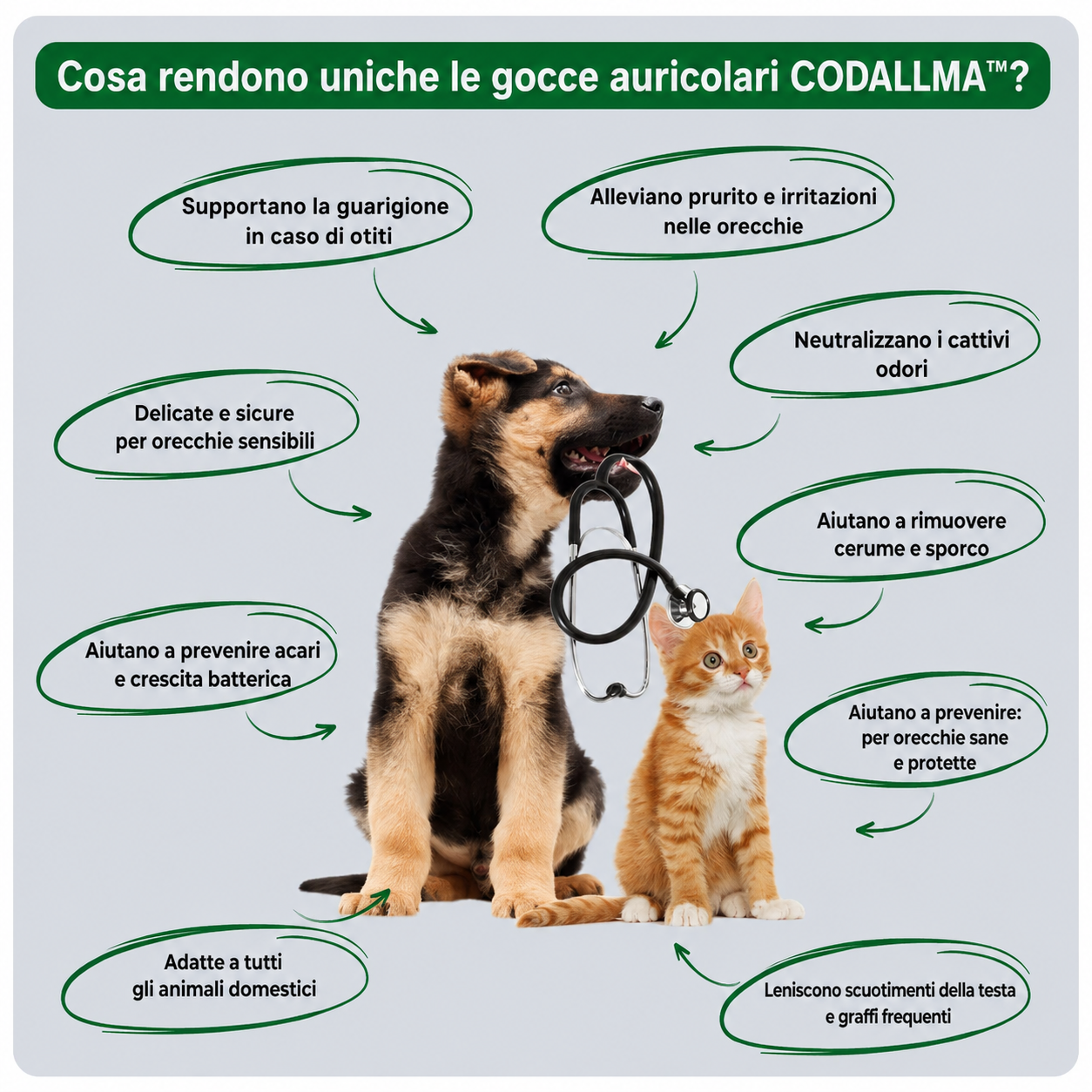 Codallma™ Soluzione per la pulizia delle orecchie del cane