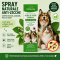 Codallma™ Spray contro zecche, pulci, acari e zanzare [fornitura annuale]