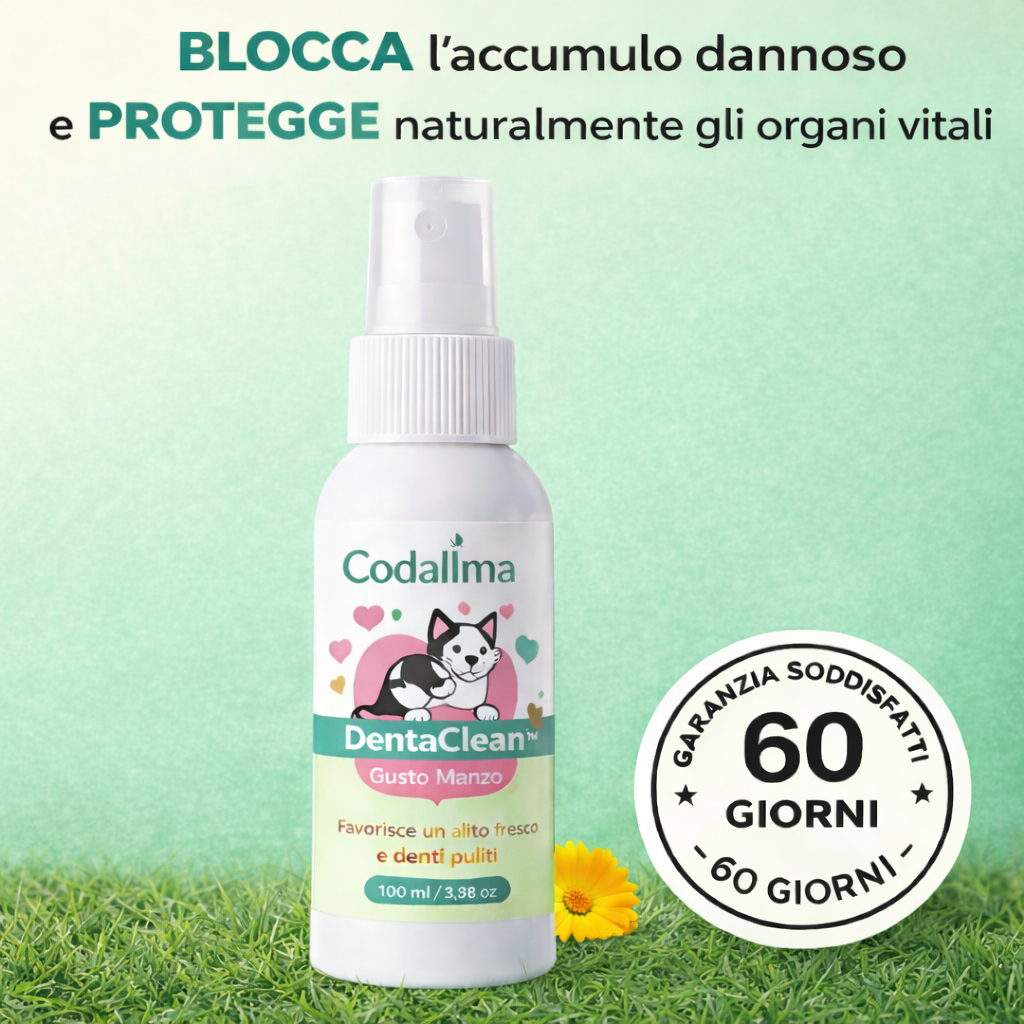 Codallma Spray™ per Gatti Ferma i batteri che causano la carie prima che portino a interventi chirurgici rischiosi