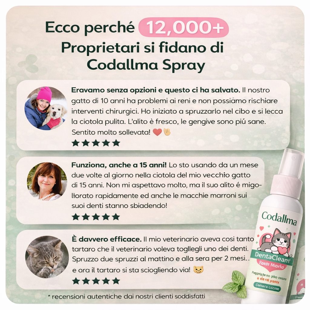 Codallma Spray™ per Gatti Ferma i batteri che causano la carie prima che portino a interventi chirurgici rischiosi