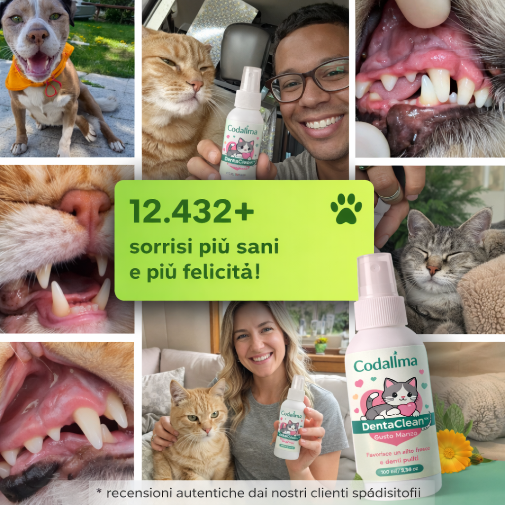 Codallma Spray™ per Gatti Ferma i batteri che causano la carie prima che portino a interventi chirurgici rischiosi