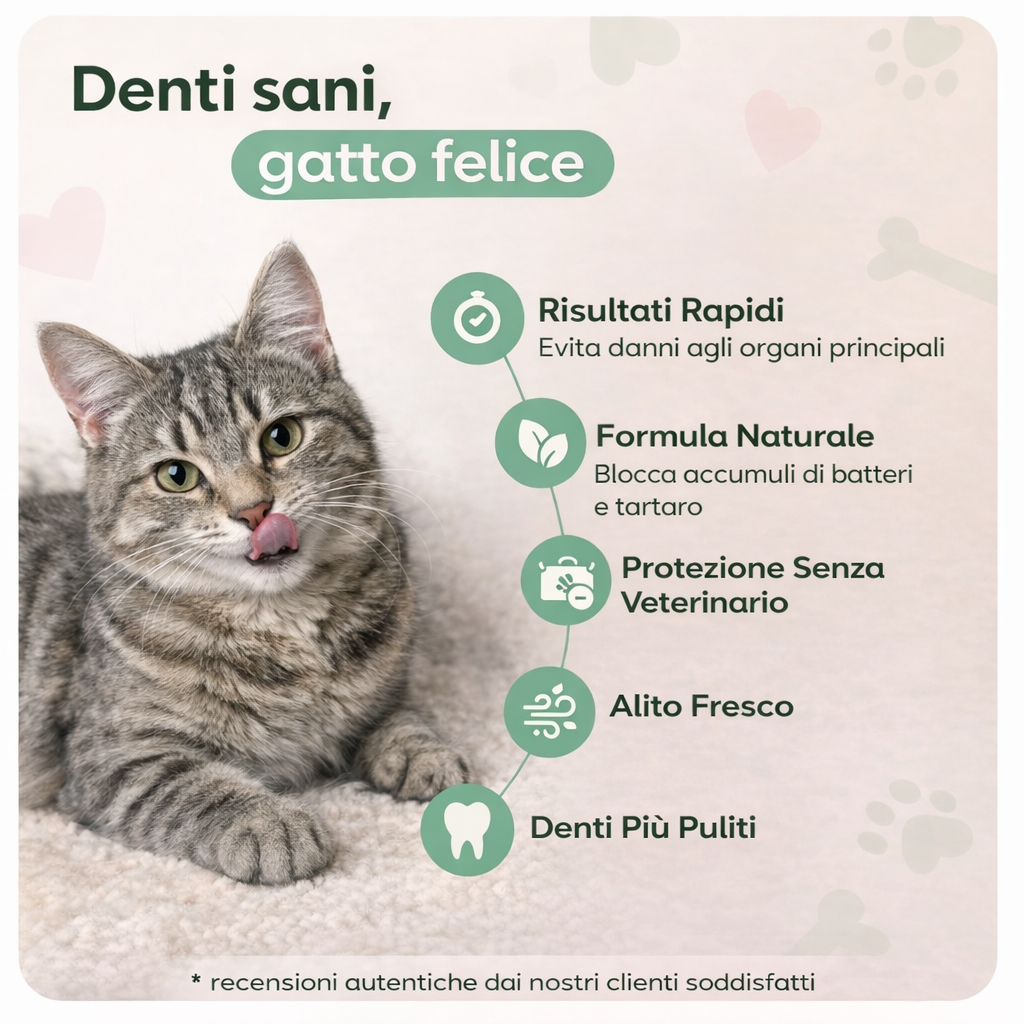 Codallma Spray™ per Gatti Ferma i batteri che causano la carie prima che portino a interventi chirurgici rischiosi